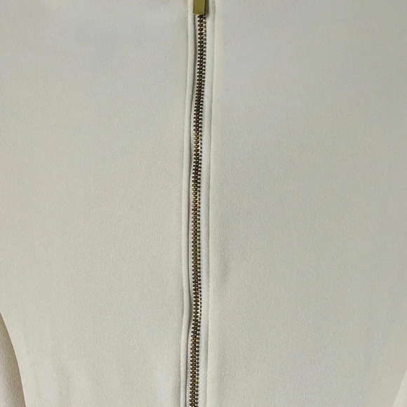 EXPRESS | Retro Puff Sleeves with Pleats Ivory Sheath Silhouette Dress Size L - Picture 4 of 7